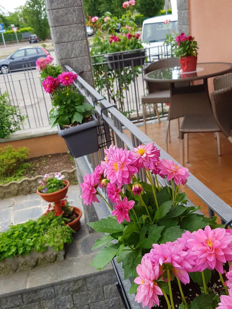 Villa Rosina Rho Zewnętrze zdjęcie